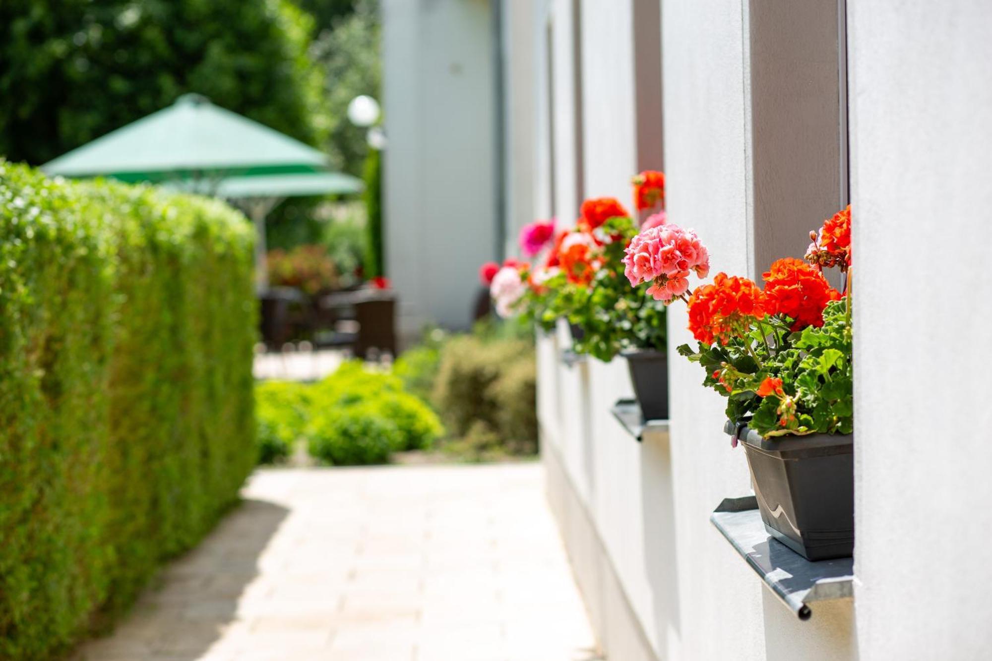 Cafe Wildau Hotel & Restaurant Am Werbellinsee Schorfheide Luaran gambar